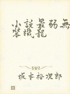 小说最弱无败神装机龙