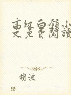 高级白领小说全文免费阅读无弹窗