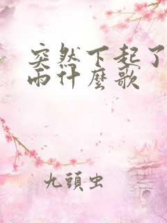 突然下起了一场雨什么歌