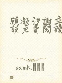 顾凝汐谢奕承小说免费阅读最新章节