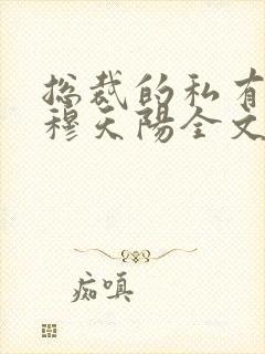 总裁的私有宝贝穆天阳全文阅读免费