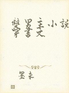 双男主小说推荐穿书文