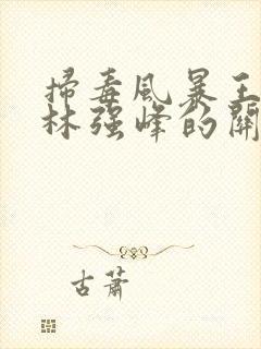 扫毒风暴王奇和林强峰的关系