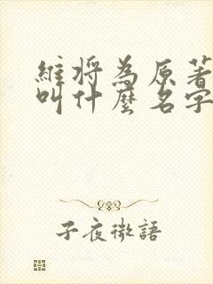 维将为原著小说叫什么名字