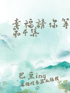 幸福请你等等我第4集