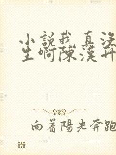 小说我真没想重生啊陈汉升最新章节列表