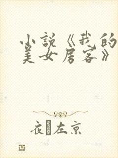 小说《我的绝色美女房客》