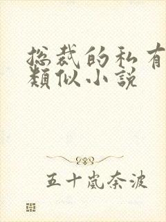 总裁的私有宝贝类似小说