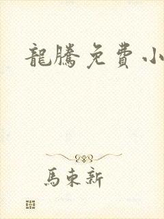 龙腾免费小说网