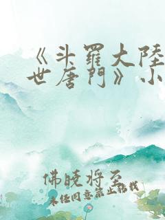 《斗罗大陆2绝世唐门》小说