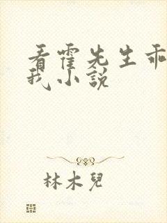 看霍先生乖乖宠我小说