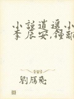 小说逍遥小贵婿李辰安,钟离若水