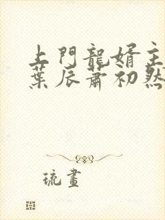 上门龙婿主人公叶辰萧初然