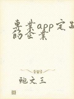 专业app定制的企业