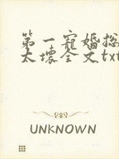 第一宠婚总裁别太坏全文txt