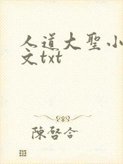 人道大圣小说全文txt