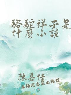 骆驼祥子是一本什么小说