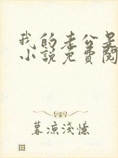 我的老公是奸雄小说免费阅读