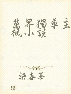 万界独尊主角林枫小说