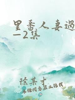 里番人妻过夜1—2集