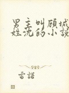 男主叫顾城女主姓沈的小说