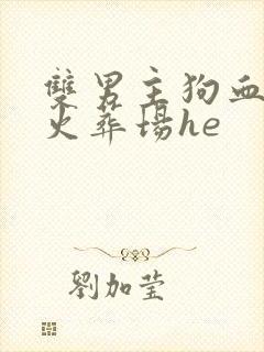 双男主狗血追妻火葬场he