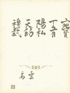 穆天阳丁宛晴总裁的私有宝贝