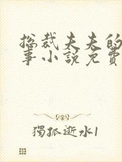 总裁夫夫的二三事小说免费阅读