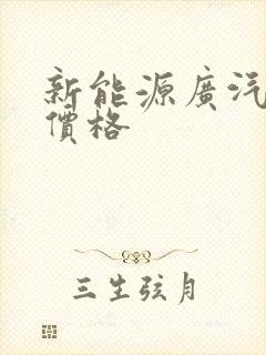 新能源广汽埃安价格