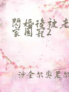 闪婚后被老公全家团宠2