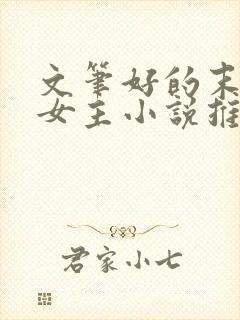 文笔好的末世文女主小说推荐