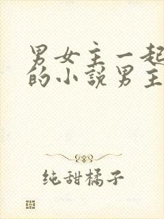 男女主一起穿越的小说男主是皇上