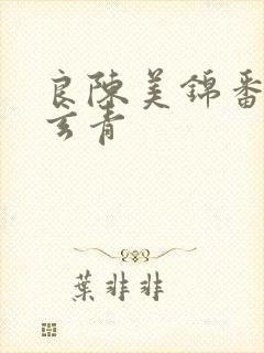 良陈美锦番外陈玄青