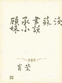 顾承聿苏浅浅林姝小说