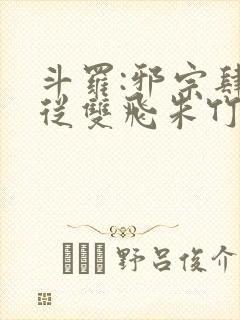 斗罗:邪宗肆虐从双飞朱竹清千仞雪开