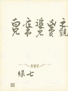 白夜追凶之龙虎兄弟免费观看全集