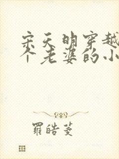 宋天明穿越娶三个老婆的小说