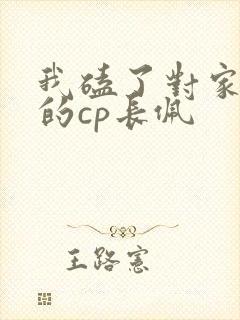我磕了对家x我的cp长佩