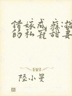 错嫁成瘾:总裁的私宠甜妻