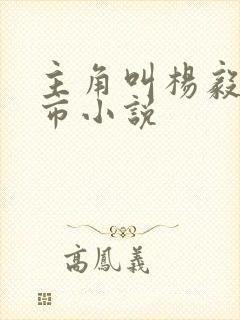 主角叫杨毅的都市小说