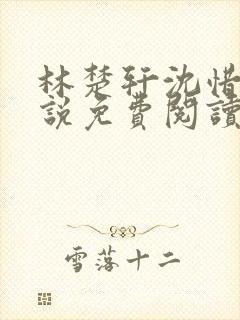 林楚轩沈惜月小说免费阅读最新章节