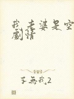 我老婆是空姐的剧情