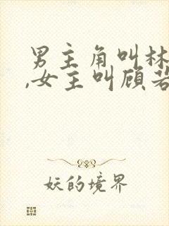 男主角叫林凡的,女主叫顾若曦的小说