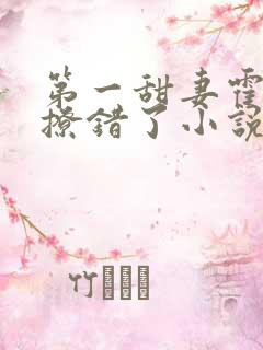 第一甜妻霍先生撩错了小说