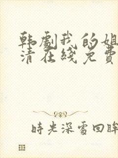 韩剧我的姐姐高清在线免费观看