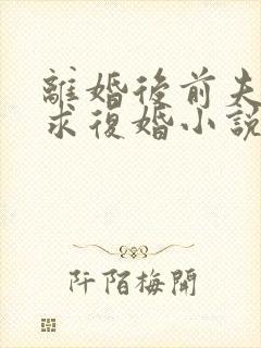 离婚后前夫哭着求复婚小说免费完整观看