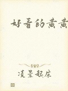 好看的黄黄小说