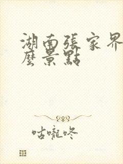 湖南张家界有什么景点