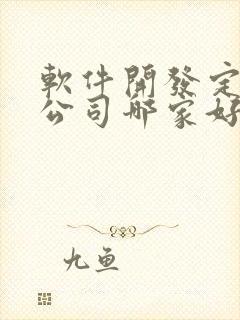 软件开发定制的公司哪家好