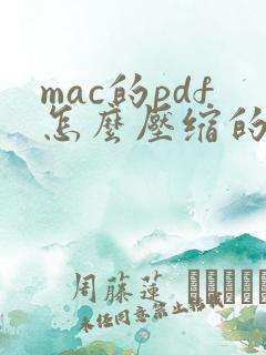 mac的pdf怎么压缩的小一点